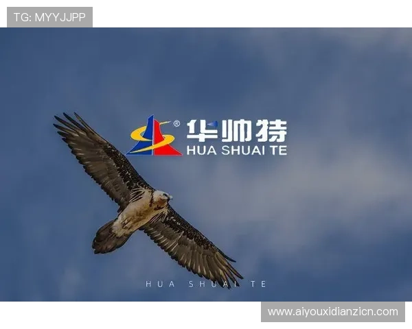 凯发电游ks8手机版app优化升级带来的新变化介绍